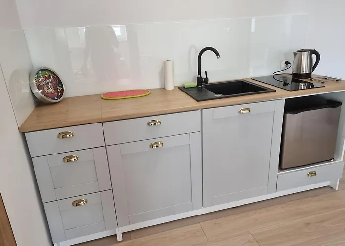 Welskie Apartment Lidzbark Welski